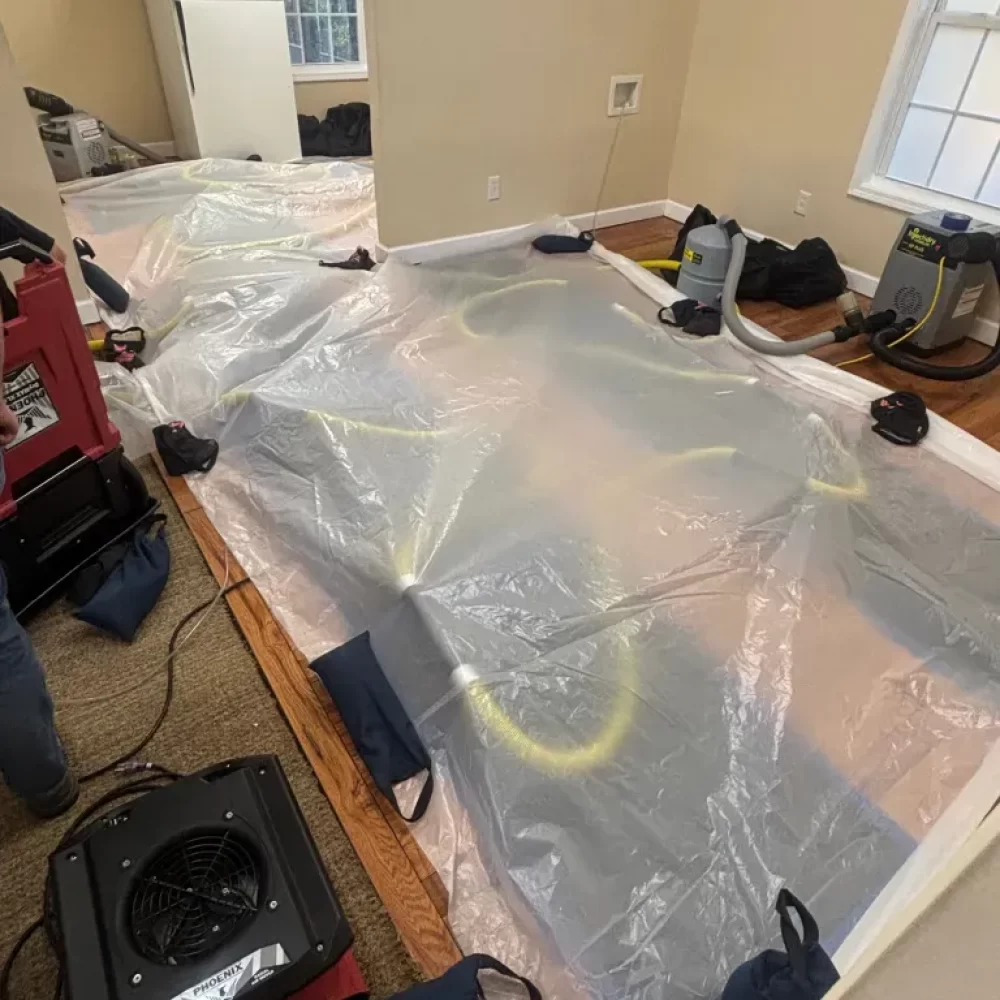 Restoration-768x1024